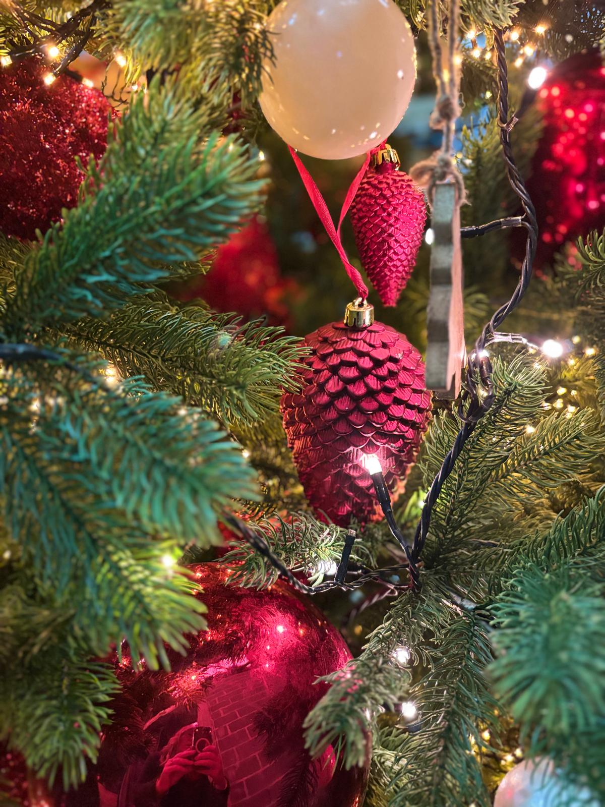 Gros plan de décorations rouges accrochées à un sapin de Noël