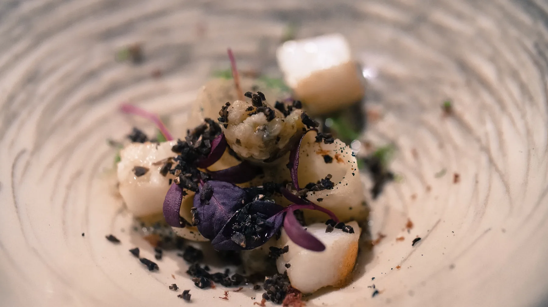 Plat gastronomique composé de plusieurs ingrédients sur une assiette blanche